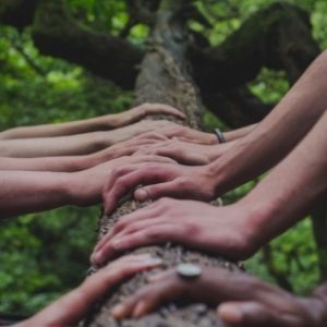 Viele Hände liegen auf einem Baustamm