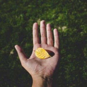 In einer Hand liegt ein gelbes Blatt